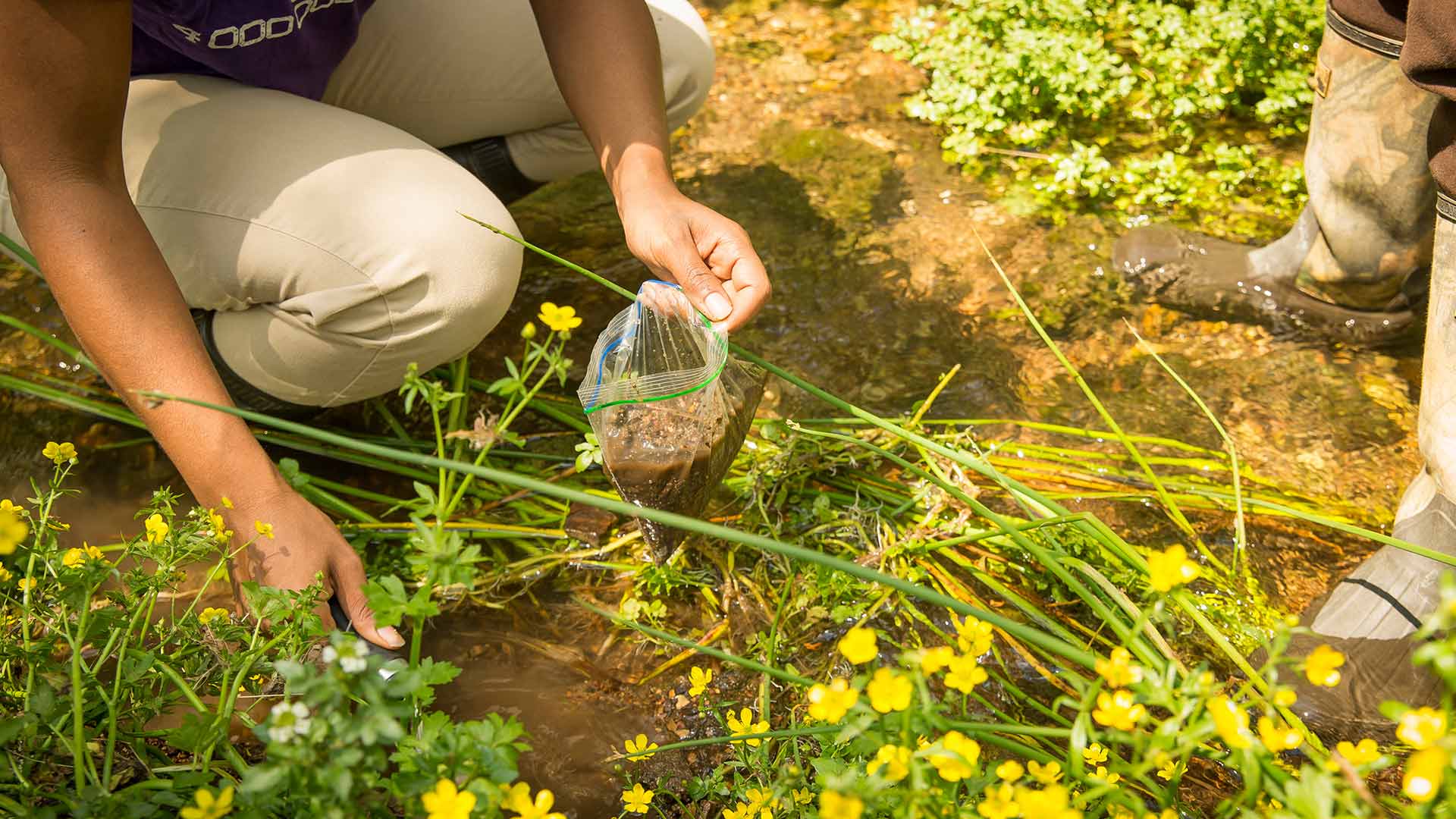 Close up of a person taking soil samples from a stream.