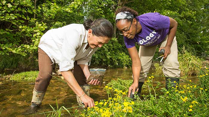 Two faculty members gathering samples next to a stream.