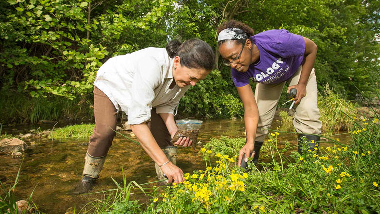 Two faculty members gathering samples from the edge of a stream.