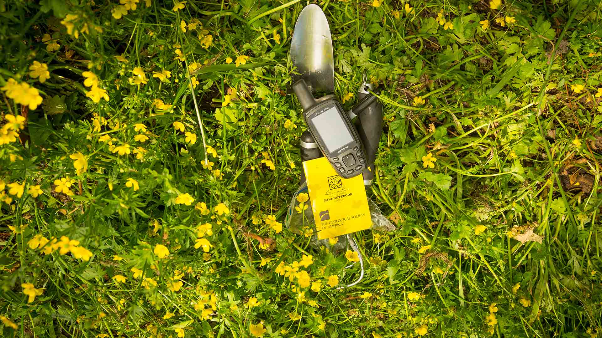 Research equipment and notebook laying in some wild flowers