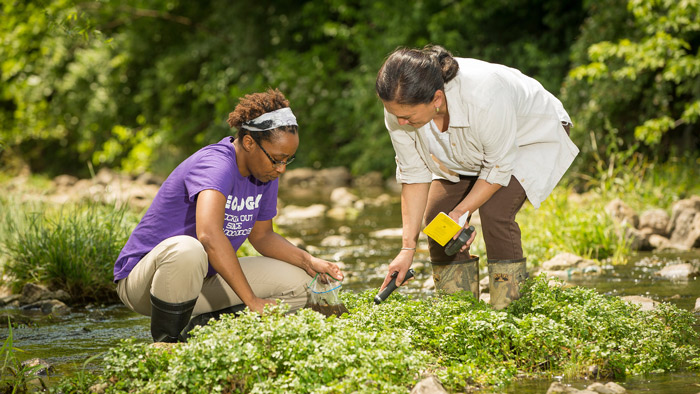 A Missouri State faculty member and student gather samples at a local stream.