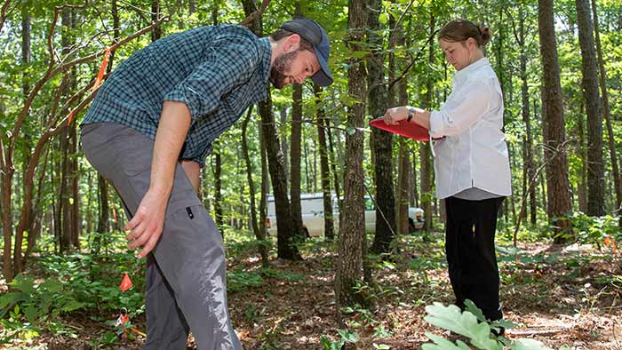 Two students conducting research outdoors in a woodslike setting. One is making ground observations and the other is taking written notes.