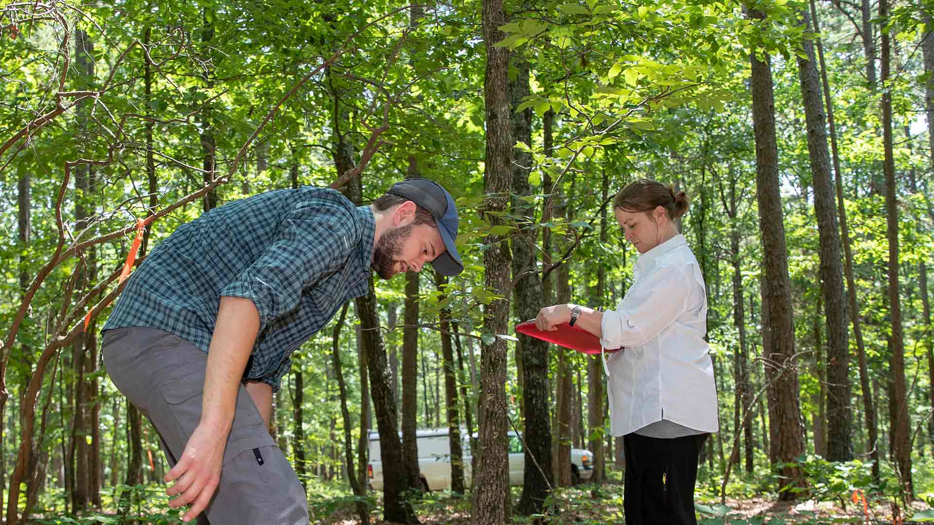 Two students conducting research in a wooded area